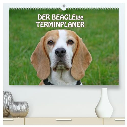 DER BEAGLEige TERMINPLANER (hochwertiger Premium Wandkalender 2026 DIN A2 quer), Kunstdruck in Hochglanz: Putzige Schlappohren (CALVENDO Tiere)
