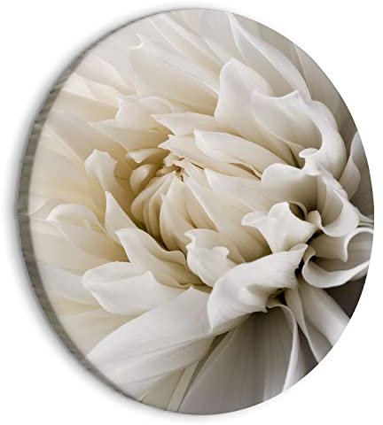 murando - runde Bilder weiße Blume 40x40 cm Leinwandbild 1 tlg Kunstdruck modern Wandbilder XXL Wanddekoration Design Wand Bild Natur Pflanzenmotiv Panorama b-B-0112-bc-a