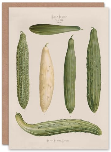 Artery8 Ernst Benary Art Card Trellis Frame Cucumber Varieties