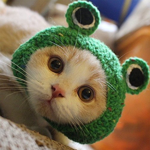 Haustier Hut - Hund Katze Haustier Mütze handgemachte gestrickte Wollgarn Hut für Welpen Teddy Cartoon Frosch Tier Hund Katze Pflege Zubehör Bekleidung, grün, M