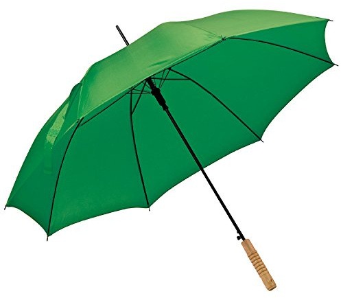 Automatik-Regenschirm / Farbe: grün