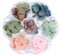 Minkissy 1 Box 50 pcs Dried Flowers Nail Art Dried Maple Leaf Preserved Gradient Manicure Decor Nail Tips Sticker Nail Art Supplies for Women Ladies