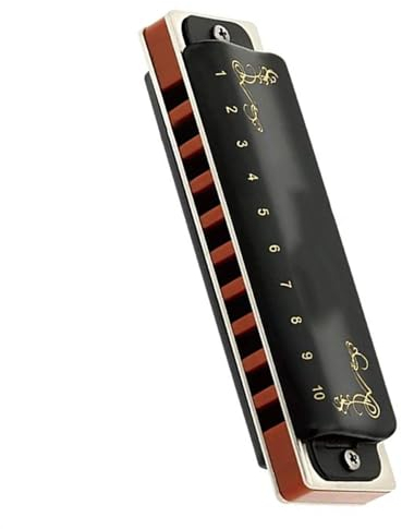 Diatonische Mundharmonika, 10 Löcher, 20 Töne, Blues-Harfen-Mundharmonika mit schwarzem Bezug und Leinentasche Anfänger-Mundharmonika (Color : Eb)