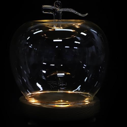 FUNNETOYU Lot de 2 Dômes en Verre Transparent avec Socle Lumineux en Bois Antique Grand Format Couvercles Amovibles Anti-poussière pour Vitrines D’Exposition, Figurines et Loisirs