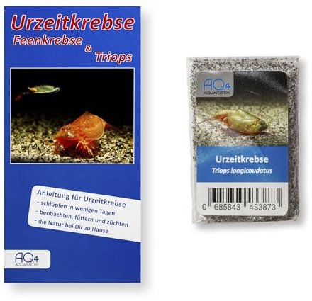 Triops longicaudatus Zuchtansatz ca. 100 Urzeitkrebs Eier in Sand | Amerikanischer Dinokrebs, Urzeitkrebs-Eier in Sand, mit Anleitung, für Schlupf, Aufzucht und Beobachtung