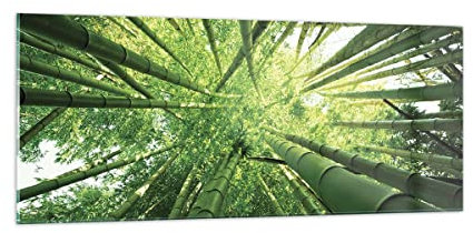 ARTTOR Glasbild 100x40cm Wandbild Glasdruck Landschaften Wald - 4235