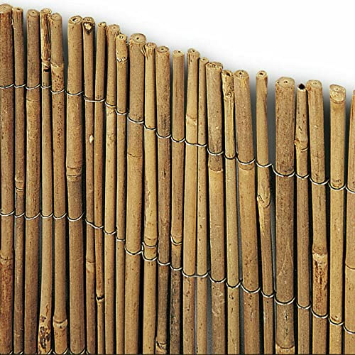Arella Canna Intera Bamboo da esterno (2 x 3 Metri) Perfette per Recinzioni Decorazioni Coperture Divisori Ombreggiante