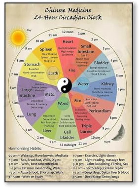 Tcm 24 Stunden Biologische Uhr Poster, Orgeluhr Kunst, Vintage Wandkunst, Gesundheitsposter, Klinik Dekor Leinwandgemälde 30Cmx40Cm Kein Rahmen