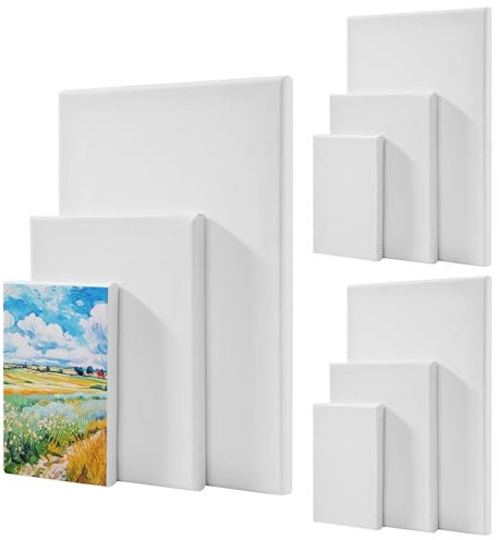 9 piècesToile Peinture,tableau Peinture pour artistes amateurs et professionnels, adaptée à l'aquarelle, à l'huile et à la gouache (30x20cm, 20x15cm, 15x10cm)