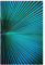 Bilderwelten Glasbild - Tropische Pflanzen Palmenblatt in Türkis II 30 x 45cm