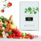 CAIYUE air purifier ozone generator, household ozone generator 600 mg/h, clean vegetables, fruits, meat, purify water and air