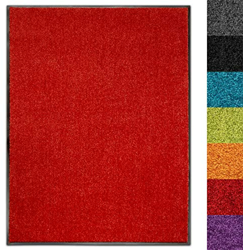 Floordirekt Schmutzfangmatte Use&Wash - Türmatte Sauberlaufmatte Fußabtreter - Fussmatte Teppich - für Flur Eingang Eingangsbereich - rutschfest & waschbar - in vielen Farben (120 x 300 cm, Rot 15)