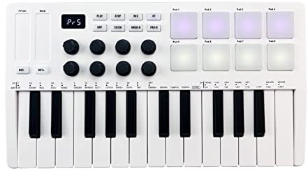 SIBOMTEX - Controller MIDI a 25 tasti, mini controller MIDI portatile, con 25 tasti sensibili alla velocità, 8 pad retroilluminati RGB e 8 manopole
