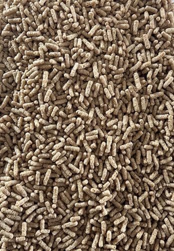 Teichsticks 10L im wiederverwendbaren Eimer (ca 1,45Kg) – schwimmendes Teichfutter für eine gesunde Ernährung Zierfische, Kois & Goldfische – Premiumqualität aus Deutschland