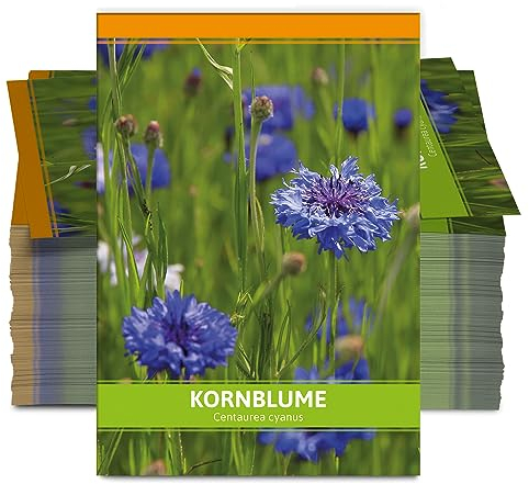 FLORTUS Kornblumen Samen für Gastgeschenke (100 Stück) | Blumensamen als Dankeschön Geschenke, Mitgebsel & Werbegeschenke | Wildblumensamen