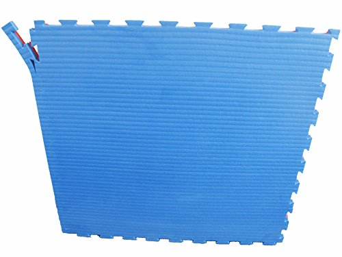 Judo Sportmatte/Steckmatte/Tatami blau-rot 1mx1mx4cm, Härtegrad 50-55 (4500010)