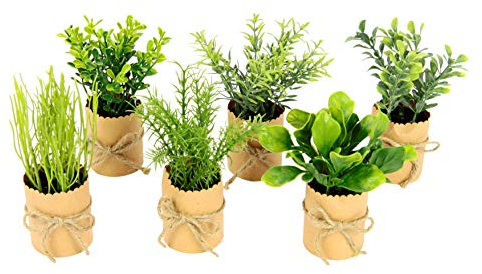 Flair Flower Lot de 6 Mini Herbes artificielles dans Un Pot en Papier - Eucalyptus, romarin, épinards, thym, Basilic, poireaux, grais, Herbes de Jardin - Décoration pour Cuisine, Salon, 12 x 8 x 8 cm