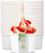 DeinPack Lot de 200 gobelets 120 ml blancs | Gobelets universels en carton pour glace, dessert, fingerfood, entrées, snacks | Gobelets alimentaires ronds non imprimés