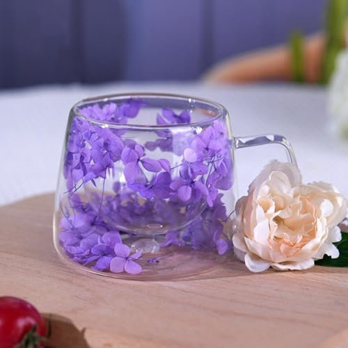 Richaa Dried Flowers Double Walled Glass Mug with Handle - 200ml Cappuccino Cup Hot Chocolate Mug Latte Glass Coffee Mug Original Gifts