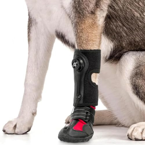 SENECESLI Attelle de Pied Tombante avec Bobine pour Chien, Attelle de Pied de Chien Respirante avec Semelle Antidérapante pour Problèmes de, Arthrite, Chaussette Hautement élastique (M)