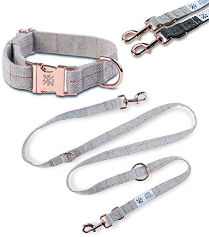 Jack & Russell Tweed Set Dog Lead 2.0 m + Collar with Rose Gold Carabiner - Elegant Multiple Adjustable (S/M, Mottled Grey)