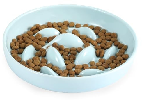 IDOGCHEW Gamelle Anti Glouton Céramique Chat, Assiette Régime Anti Vomissement pour Chat Glouton, Bol Plat pour Chaton Alimentation Lente, Rond, Vert Clair