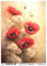 Josys Bastelmärchen Reispapier A4 Strohseide Vintage Scrapbooking Blumen Mohnblumen RE4335
