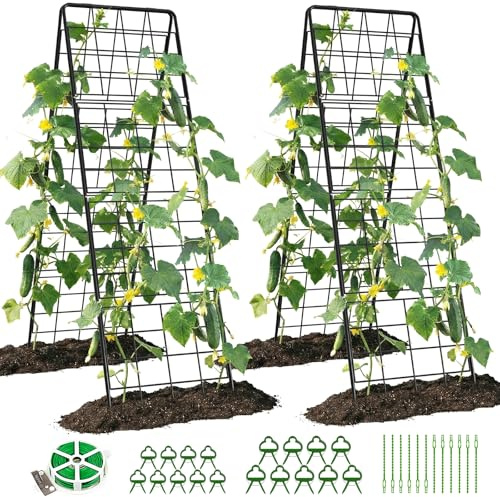 SUNYRISY 2 Stück Rankgitter für Tomaten Gurken Rankhilfe 180cm | Metall Gurke Gitternetz Kletterpflanzen Tomaten Rankhilfe, Pflanzenstütze für Blumen Nutzpflanzen, Schwarz