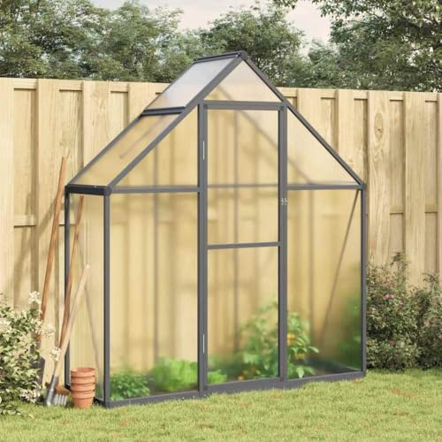Mokuyary - Invernadero con marco de base (169 x 58 x 195 cm, aluminio, invernadero de exterior para plantas vegetales