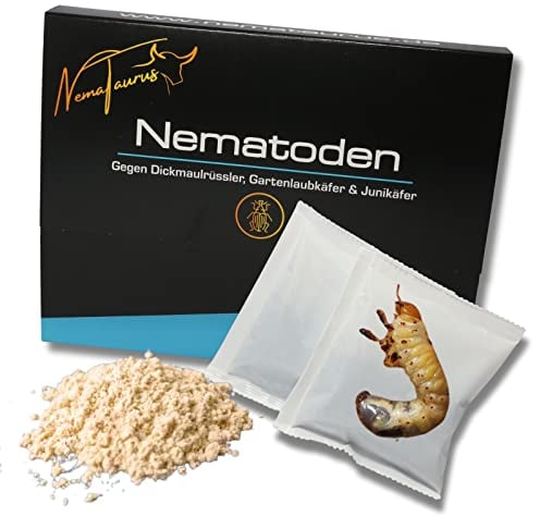 Nematoden 6 mio für 12 m² gegen Dickmaulrüssler Larven biologische Schädlingsbekämpfung bei Larven und Engerlingen schädlicher Käfer