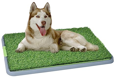 GIBZ Kunstrasen Hundeklo mit Tablett Großes Welpen Trainings PIPI Pods 3 Lagig Gras Hundetoilette für Indoor und Outdoor, 42.5×68×3.5cm