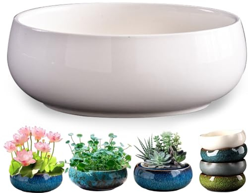 Hydrokultur-Lotusschale für den Innenbereich, Keramik-Lotus-Blumentopf für Sukkulenten, Wasser-Pflanzschale für Heimdekoration – perfekt für den Innenbereich