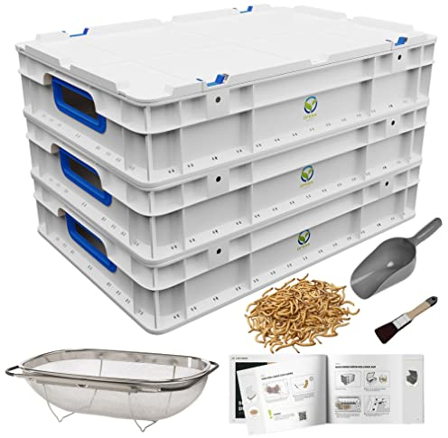 OFERA Mehlwurm Farm Zucht [Set] für Mehlwürmer Insekten als Hühnerfutter Vogelfutter Wildvögel ganzjährig Fischfutter Wurmkiste Komposter Mehlwürmer lebend Futter Hühner Zubehör Kompost Dünger Bio