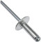 AERZETIX - C48165 - Lot de 100 Rivets aveugles Ø4.8x14mm à tête large 16mm - DIN 7337 C - rivet pop à rupture de tige - en aluminium/acier