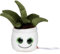 Schmoozies® Evergreenies® Aloe Vera, perfekt geeignet zum Reinigen von Handy- und Tabletdisplays, Unterseite aus Mikrofaser