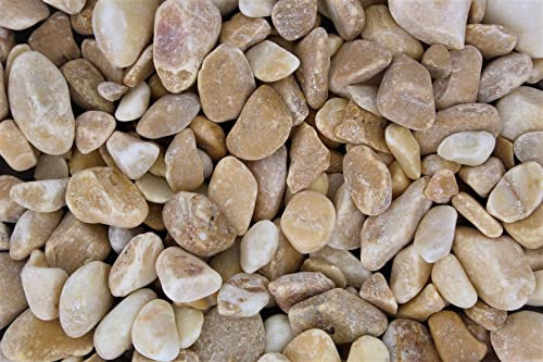 Gartenwelt Riegelsberger Kies 5 kg Naturkies gewaschen Giallo Siena Körnung 15-25 mm Gartenkies Teichkies Dekokies Deko Wegkies Wegsteine Zierkies