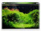 Aquariumline - Acuario abierto de cristal extraclaro, panorámico, 55 l, 60 x 30 x 33,5 cm