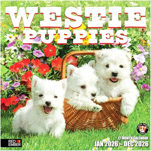 RED EMBER Westie Puppies West Highland White Terrier Wandkalender 2026, 12 Monate, 30,5 x 61 cm offen, dickes und stabiles Papier, Geschenk, Kalender 2026