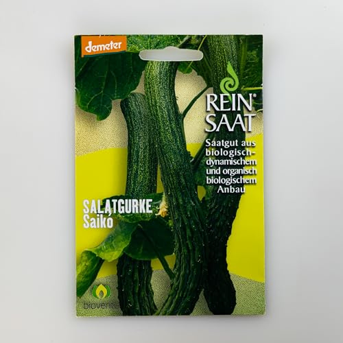 ReinSaat BIO Gurkensamen Saikó | Salatgurke 35-40 cm | Ertragreiche Bio-Sorte | Saatgut Freiland & Gewächshaus