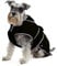 Ancol Muddy Paws All Weather Stormguard Dog Puppy Coat Black - Waterproof Pet Jacket with Fleece Lining and Chest Protector - Elasticated Neck and Leg Straps - 25 cm Length up to 43 cm Girth - XS