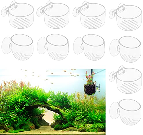 Gukasxi 10 pièces Aquarium Plant Holder avec Ventouse Aquarium Plant Cup Plant Holder Ventouse Pot de Plantes pour Aquarium Paysage Mini Fish Tank Decoration