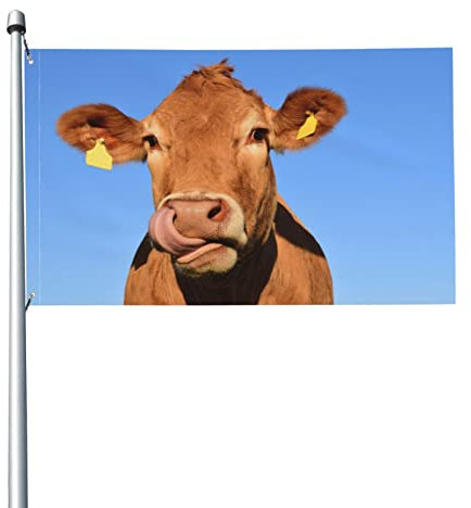 Flagge, Lustige Kuh Flaggen Lichtbeständige Polyester-Gartenflagge Outdoor-Bannerflagge mit Metallösen für Gartenhof