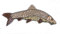 GBJUK Barbel Fish Emaille Anstecknadel mit Schmetterlingsverschluss hinten, Metall