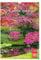 Wandkalender Colours of nature für 2025, Größe 22,9 x 33,0 cm in englischer und russischer Sprache