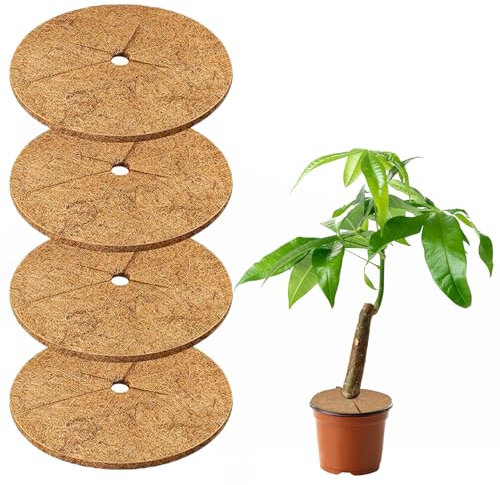 Nokwocy Esterilla de Coco, protección de Invierno para Plantas, Anillo Protector de árbol de Fibra de Coco Natural, Cubierta de Suelo para Plantas de Interior y Exterior, mantillo paisajístico (40CM)
