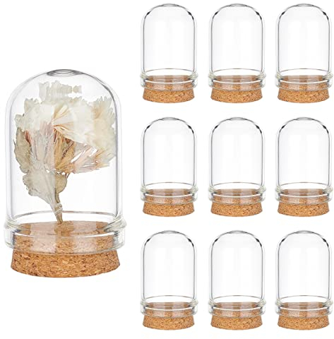 PH PandaHall 10pcs Cloche Dôme en Verre, Dôme D'affichage en Verre avec Base en Liège Mini Dôme en Verre Décoratif Cloche Vitrine pour Stockage de Fleurs Snad Décoration de Fête à La Maison, 2x3.6cm