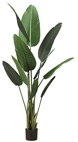 YQINQIN83B Fake Plants 47.24 Inches Tall Simulation Potted Traveler Banana Ornaments, Faux Tree Used for Home Office Decoration，1 Piece. Bonsai Tree