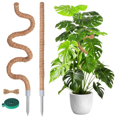 Pflanzstab Monstera Rankhilfe Moosstab - 2pcs 62cm&120cm Biegbar Plant Support Rankhilfe Zimmerpflanzen Moss Pole Kokosstab Monstera Stab Pflanzenstab Für Pflanzen Efeutute Pflanze Plant Flower Stick