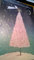 Unbekannt Roger la Borde Adventskalender Rose Tree