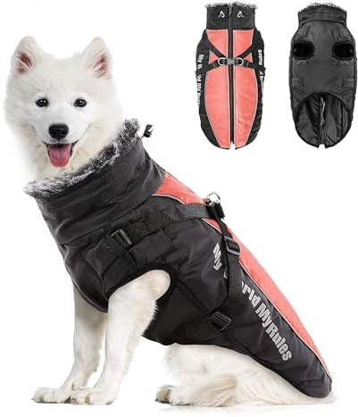 PETCUTE Wasserdichter Hundemantel für kleine Hunde,Reflektierende,Verstellbar,Winter Hundejacke mit Geschirr,Winddichte Haustierkleidung Outfit für kleine mittelgroße Hunde,2XL